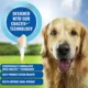 Product bluestem® Veggie Dental Chews for Dogs - Large Breed,15 count