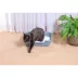 Moderna Low Entry Kitten/Senior Cat Pan image thumbnail 3