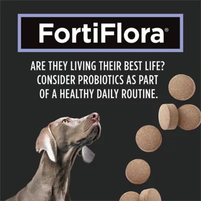 Purina Pro Plan Veterinary Supplements FortiFlora Canine Probiotic Tablets, Dog Supplement - Image 5