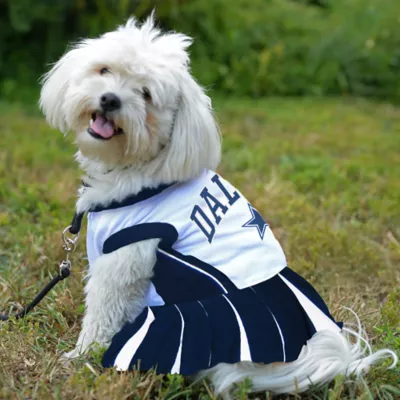 Product Dallas Cowboys Cheerleader Dress for Dogs