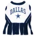 Dallas Cowboys Cheerleader Dress for Dogs image thumbnail 1