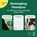 Earth Rated 3-in-1 Dog Shampoo for Curly-Coated & Wavy-Coated Dogs, White Tea & Basil Scent image thumbnail 4