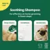 Earth Rated 3-in-1 Short-Haired Dog Shampoo, White Tea & Basil Scent image thumbnail 4