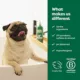 Product Earth Rated 3-in-1 Short-Haired Dog Shampoo, White Tea & Basil Scent
