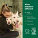 Product Earth Rated 3-in-1 Dog Shampoo for Double-Coated Dogs, White Tea & Basil Scent