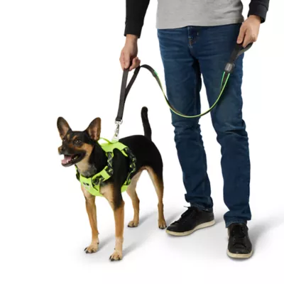 Product Arcadia Trail® Light-Up LED Dog Leash