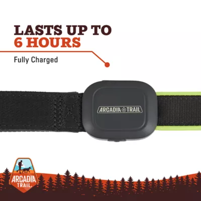 Product Arcadia Trail® Light-Up LED Dog Leash