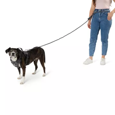Product Arcadia Trail® Hands-Free Dog Leash