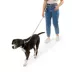 Arcadia Trail® Hands-Free Dog Leash image thumbnail 2