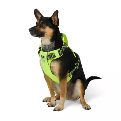 Arcadia Trail® Adjustable, Reflective Thread, Lightweight Dog Harness - Image 1