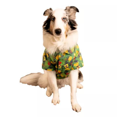 Product Spongebob Squarepants Tropical Pineapple Dog Shirt