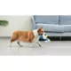 Product Disney Donald Duck Plush Dog Toy