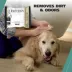 Wahl Refresh Massive Body Wipes for Dogs and Cats - Coconut Lime Verbena, 3 pack image thumbnail 4