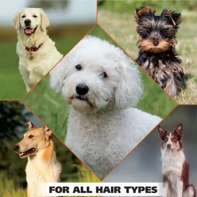 Wahl Refresh Massive Body Wipes for Dogs and Cats - Coconut Lime Verbena, 3 pack - Image 6