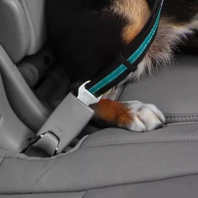 Product Kurgo® Direct to Seatbelt Swivel Tether - Blue