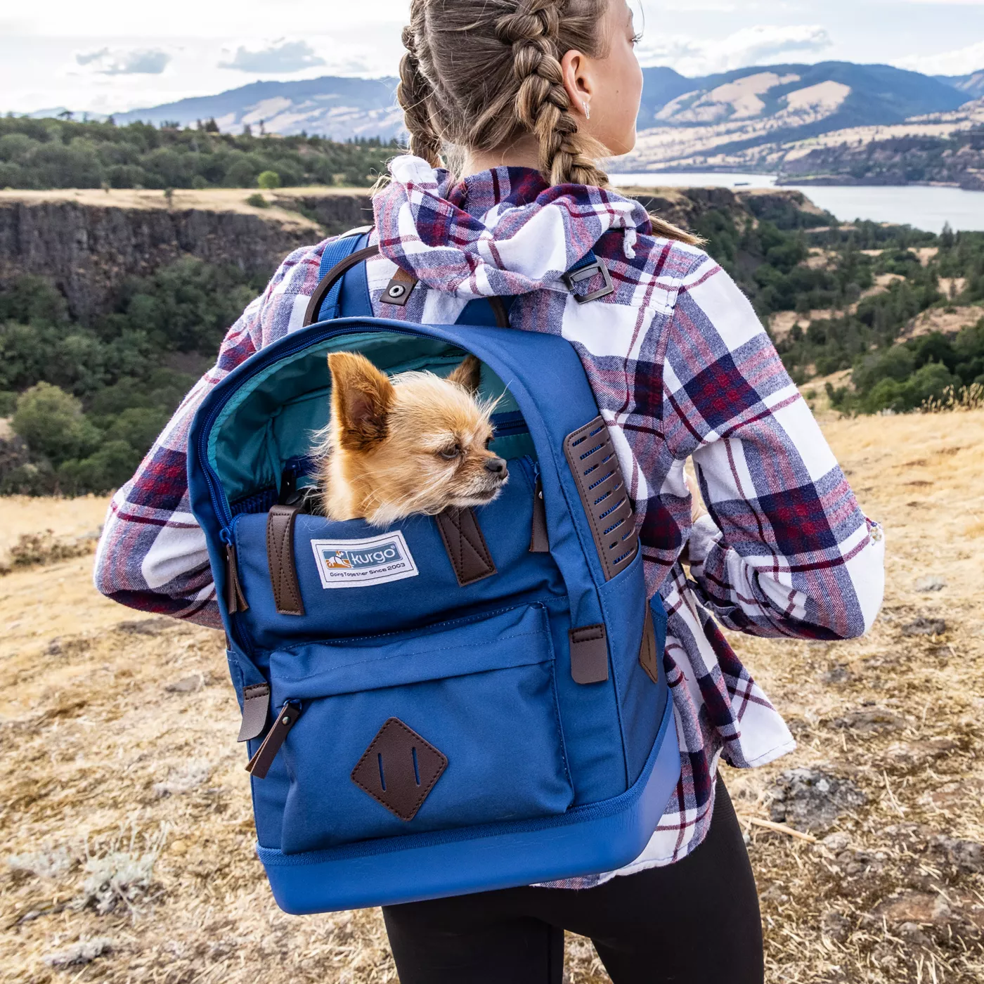 Dog carrier backpack petsmart best sale