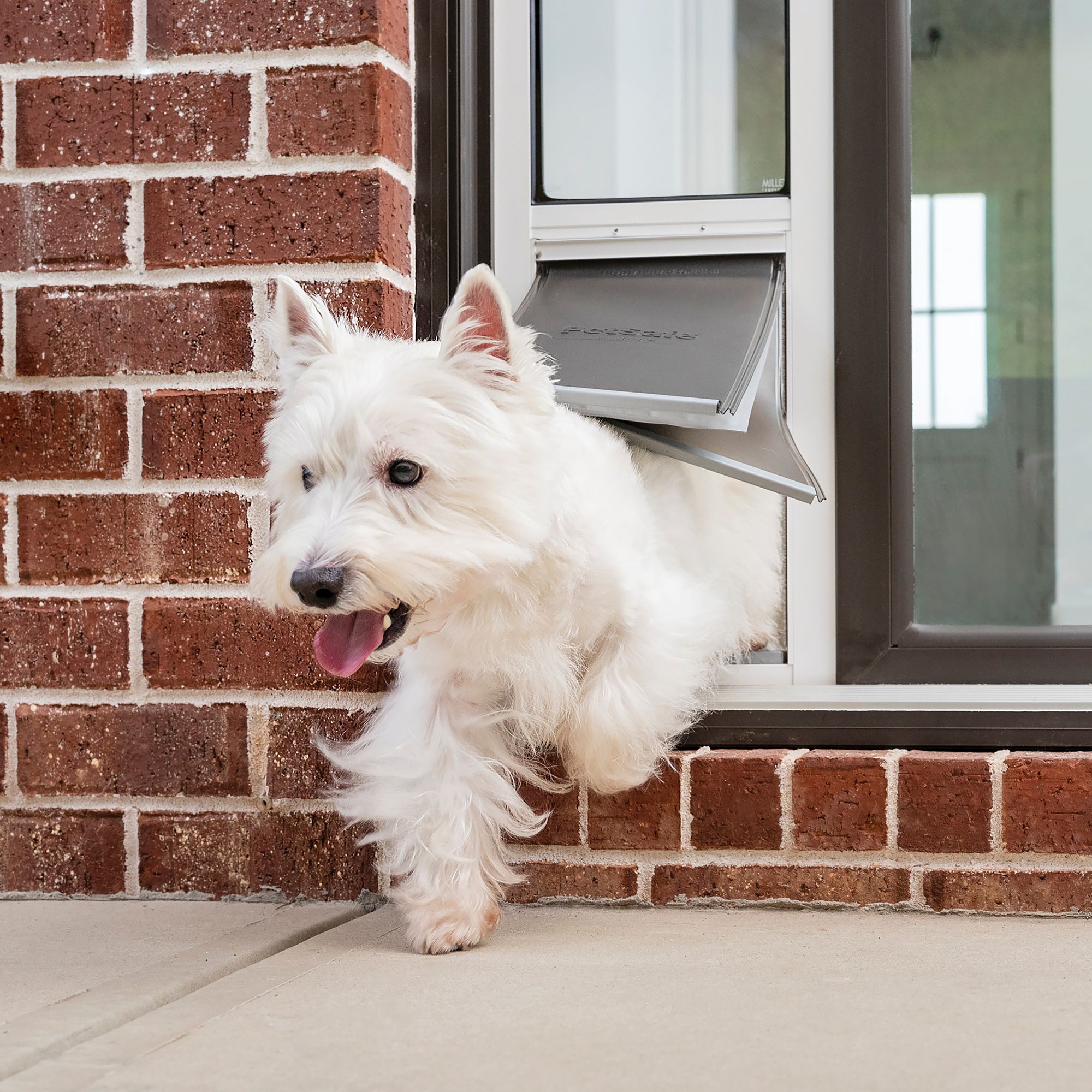 Petsmart dog door flaps hotsell