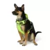 Arcadia Trail® Adjustable, Reflective Thread, Lightweight Dog Harness image thumbnail 1