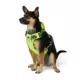 Product Arcadia Trail® Lightweight Reflective Dog Harness