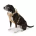 Arcadia Trail® Adjustable, Reflective Thread, Lightweight Dog Harness image thumbnail 1
