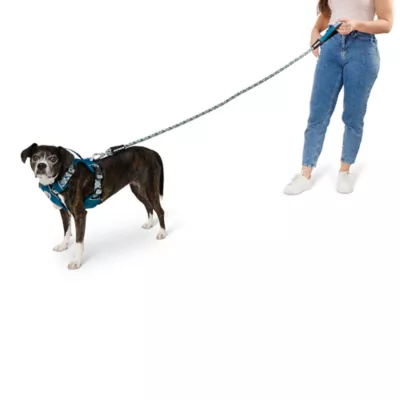 Product Arcadia Trail® Paracord Rope Dog Leash