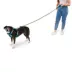 Arcadia Trail® Durable, Reflective, Paracord, Rope Dog Leash image thumbnail 2