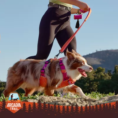 Product Arcadia Trail® Paracord Rope Dog Leash