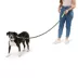 Arcadia Trail® Durable, Reflective, Paracord, Rope Dog Leash image thumbnail 2