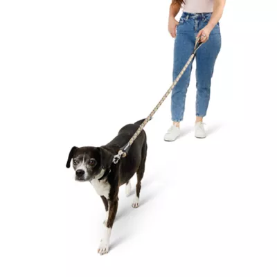 Product Arcadia Trail® Paracord Rope Dog Leash