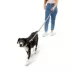Arcadia Trail® Durable, Reflective, Paracord, Rope Dog Leash image thumbnail 2