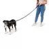 Arcadia Trail® Durable, Reflective, Paracord, Rope Dog Leash image thumbnail 2