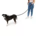 Arcadia Trail® Durable, Reflective, Paracord, Rope Dog Leash image thumbnail 2
