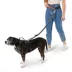 Arcadia Trail® Hands-Free Running Dog Leash image thumbnail 2