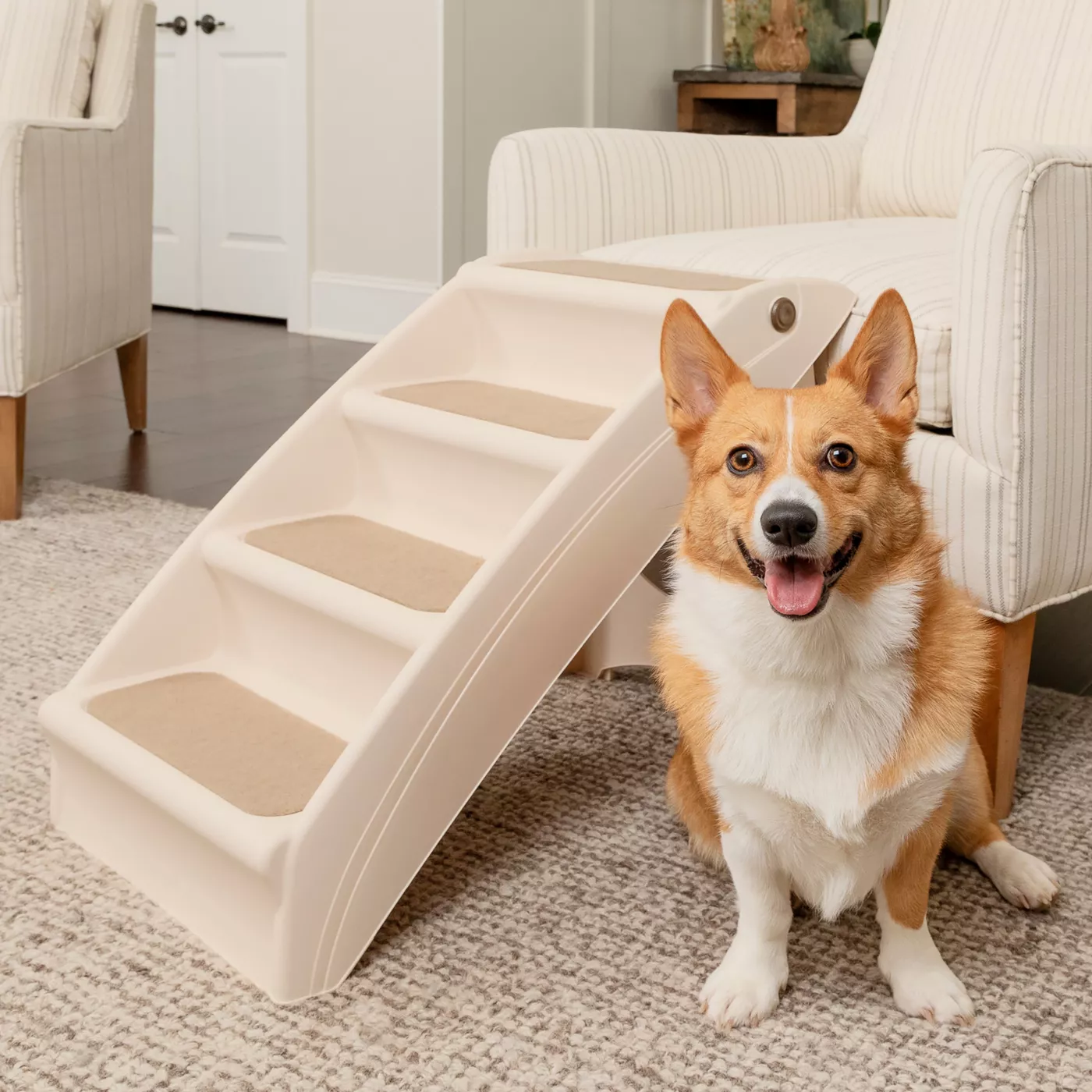 Folding dog steps best sale