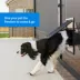PetSafe® Pet Screen Door image thumbnail 2