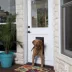 PetSafe® Pannel Pet Door Insert image thumbnail 4