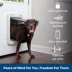 PetSafe® SmartDoor Tunnel Extensions - Large image thumbnail 4