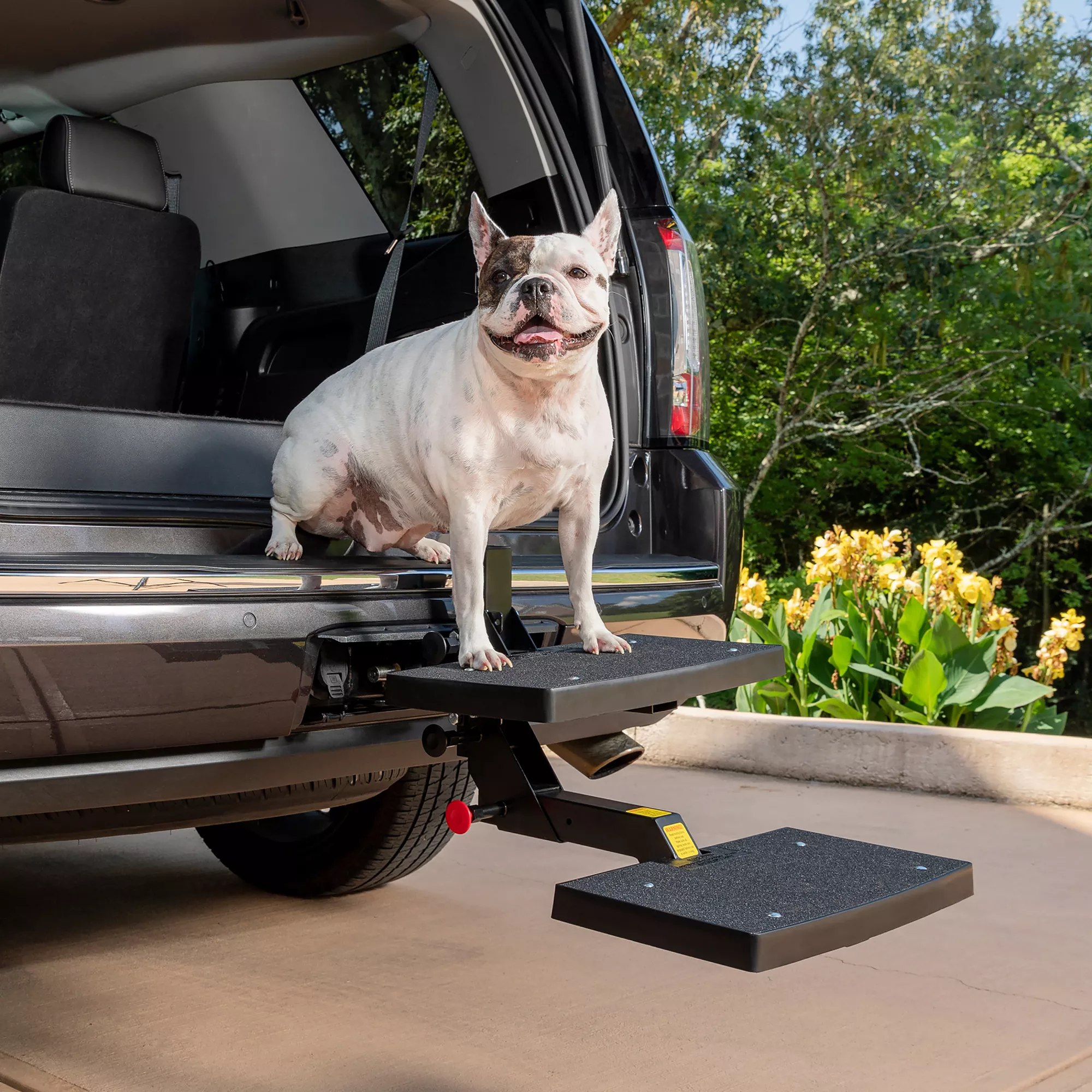 PetSafe Happy Ride Dog Hitch Step