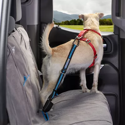 Product Kurgo® Direct to Seatbelt Tether - 15-22 inches Blue & Black