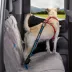 Kurgo® Direct to Seatbelt Tether - 15-22 inches Blue & Black image thumbnail 8