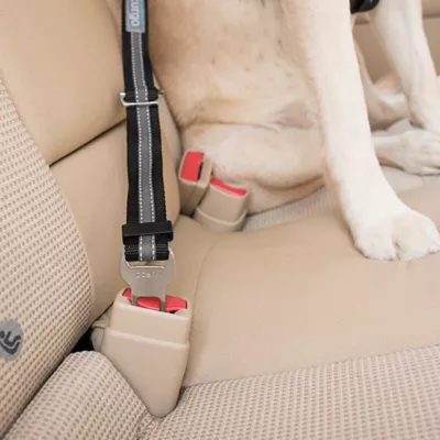 Product Kurgo® Direct to Seatbelt Tether - 15-22 inches Blue & Black