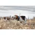 SportDOG® TEK-2AD Add-A-Dog Tracking and Training Collar image thumbnail 2