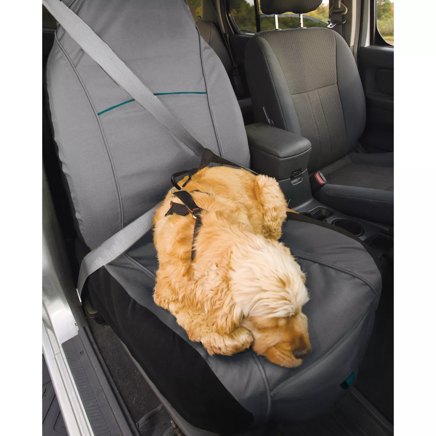 Petsmart shops seat cover