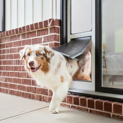 Petsafe storm door best sale