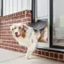PetSafe® Extreme Weather Sliding Glass Pet Door image thumbnail 1