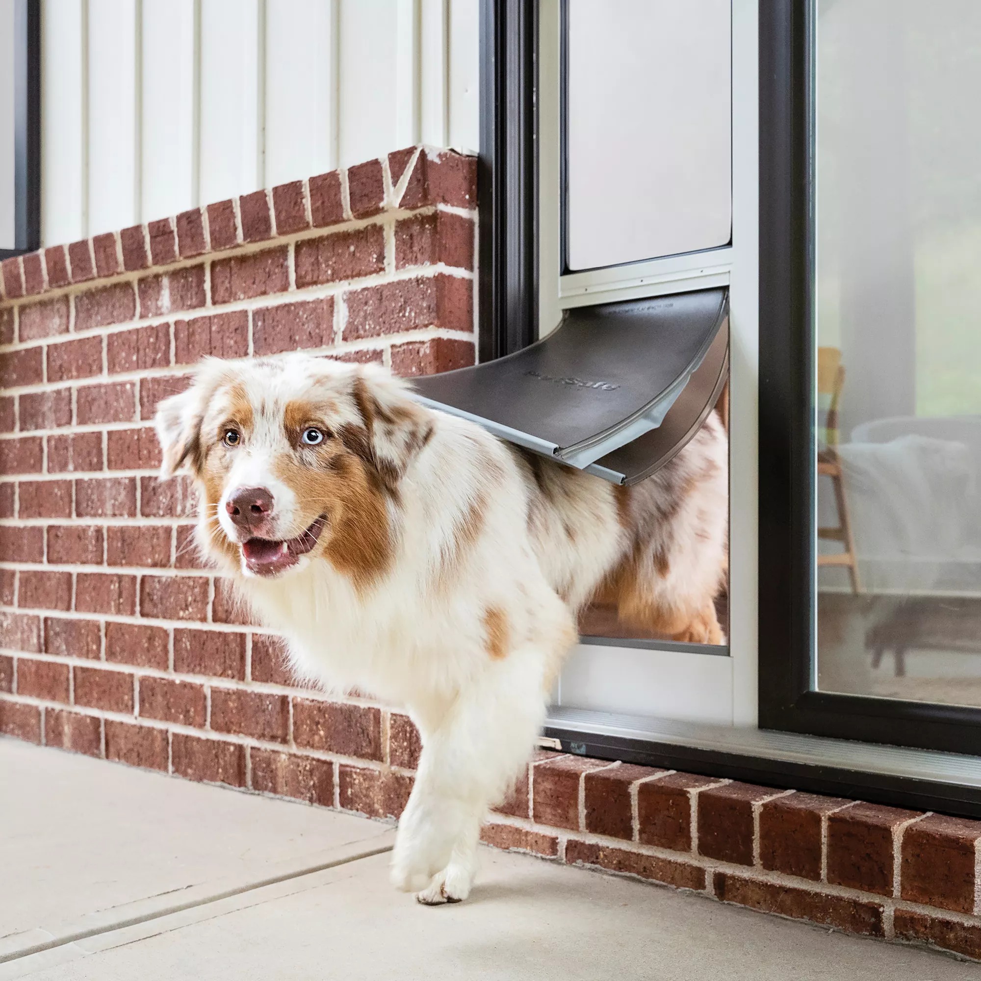 Dog Doors Gates Play Pens Pet Containment PetSmart