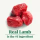 Product Nutro Natural Choice™ Adult Dry Dog Food - Lamb & Brown Rice