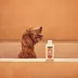 Mrs. Meyer's Clean Day 3 in 1 Dog Shampoo - White Peach, 14 oz image thumbnail 8
