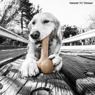 Product BarkBone Natural Instincts Dino Bacon Bone Dog Toy
