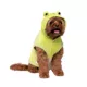 Product Squishmallows Wendy The Frog Dog Hoodie